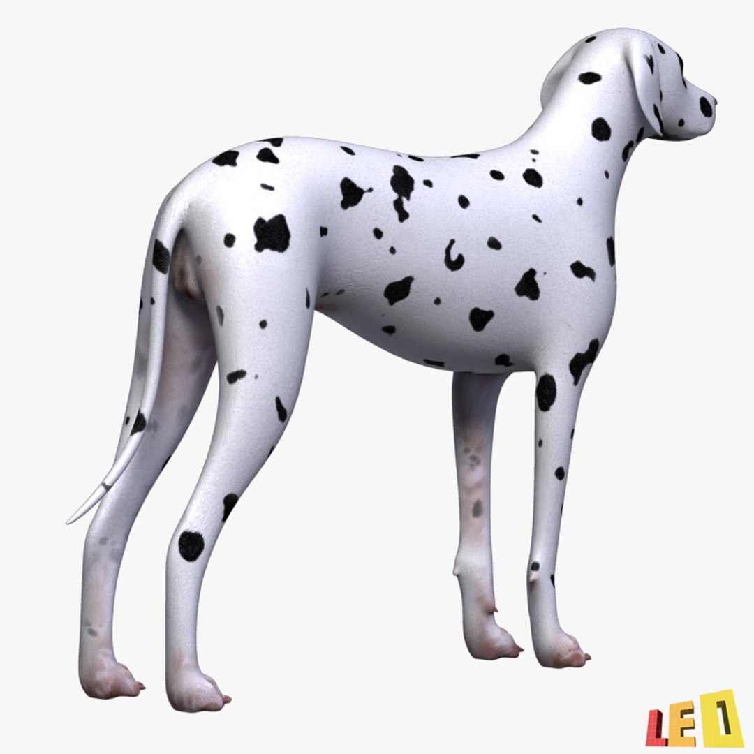3d dog dalmatian https://p.turbosquid.com/ts-thumb/r2/QpGpVY/KYchsI7m/dalmatian_03/jpg/1362385786/1920x1080/fit_q87/38580a2d5bc72414b3c41790ffc4c14d71dc2955/dalmatian_03.jpg