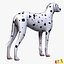 Dalmatian
