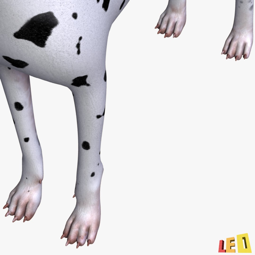 3d dog dalmatian https://p.turbosquid.com/ts-thumb/r2/QpGpVY/jmGz6QRP/dalmatian_06/jpg/1362385786/1920x1080/fit_q87/8fa6e7994909811893c1f661527f88db860134c4/dalmatian_06.jpg