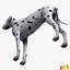 Dalmatian