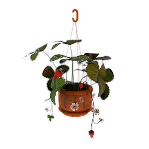 3D strawberries pot model