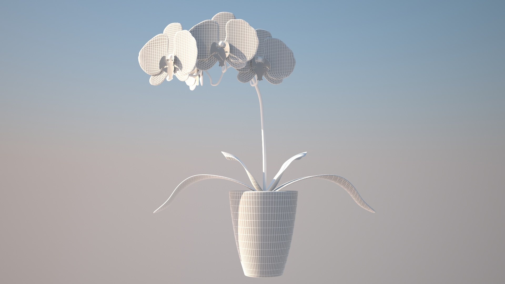 Orchid Modeled 3D Model - TurboSquid 1282424