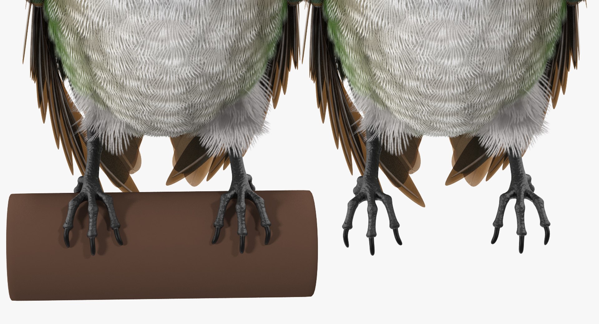 broad tailed hummingbird rigged max https://p.turbosquid.com/ts-thumb/r2/YmzkGa/HbnKTjGg/broadtailedhummingbirdrigged3dsmodel011/jpg/1490612857/1920x1080/fit_q87/3bacb3ea6cbe11205daee30ef0547e9fd0f4624e/broadtailedhummingbirdrigged3dsmodel011.jpg