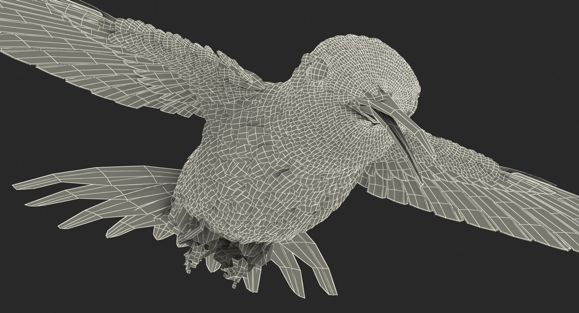 broad tailed hummingbird rigged max https://p.turbosquid.com/ts-thumb/r2/YmzkGa/lCRdedZp/broadtailedhummingbirdrigged3dsmodel022/jpg/1490612857/1920x1080/fit_q87/3421b42122de533757f3873e9499e52b64b2f048/broadtailedhummingbirdrigged3dsmodel022.jpg