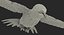 Broad Tailed Hummingbird Rigged