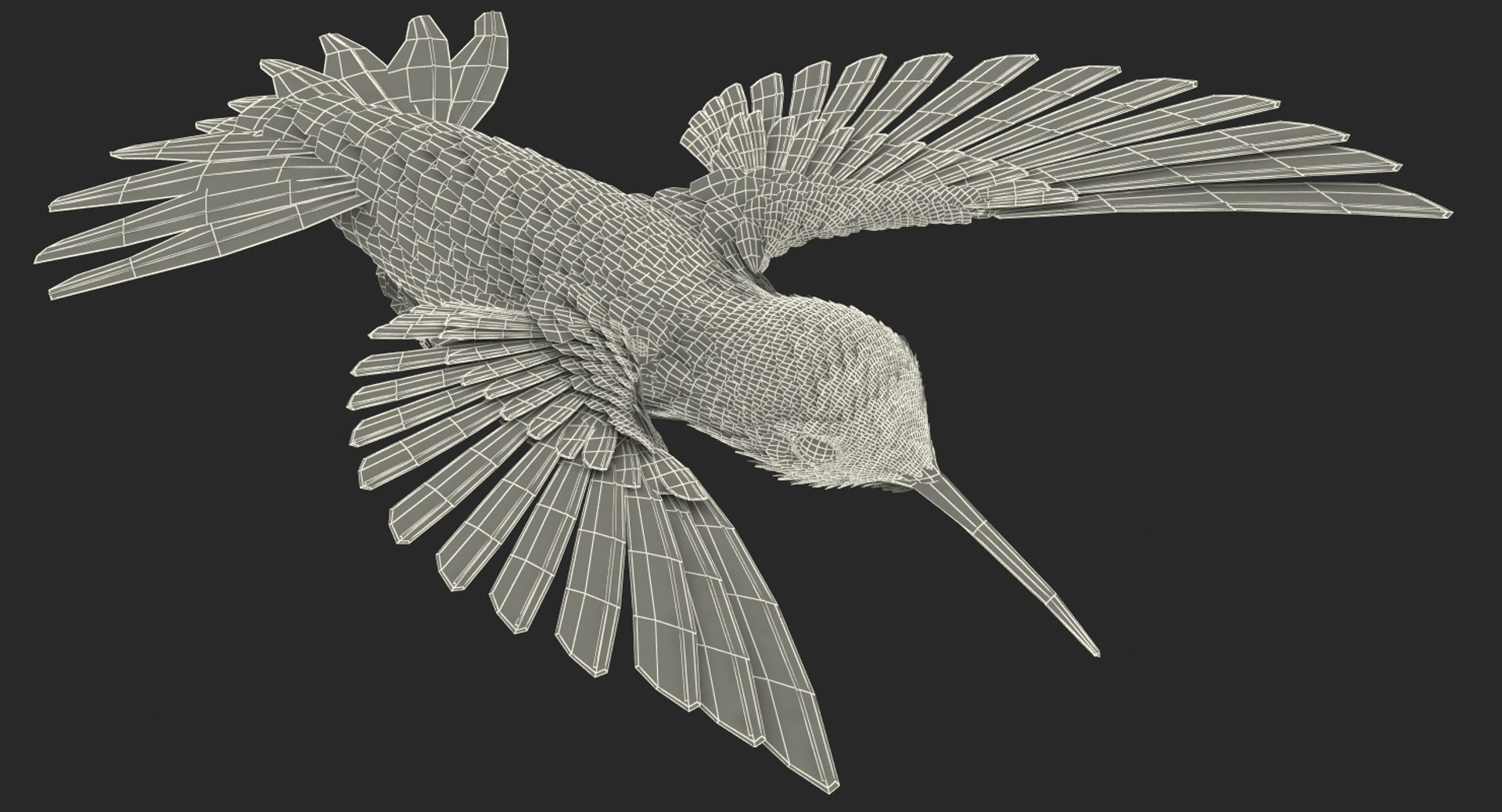 broad tailed hummingbird rigged max https://p.turbosquid.com/ts-thumb/r2/YmzkGa/qteaOWhU/broadtailedhummingbirdrigged3dsmodel026/jpg/1490612858/1920x1080/fit_q87/3735dc01954b856c6b87cfac513d93f030f34735/broadtailedhummingbirdrigged3dsmodel026.jpg