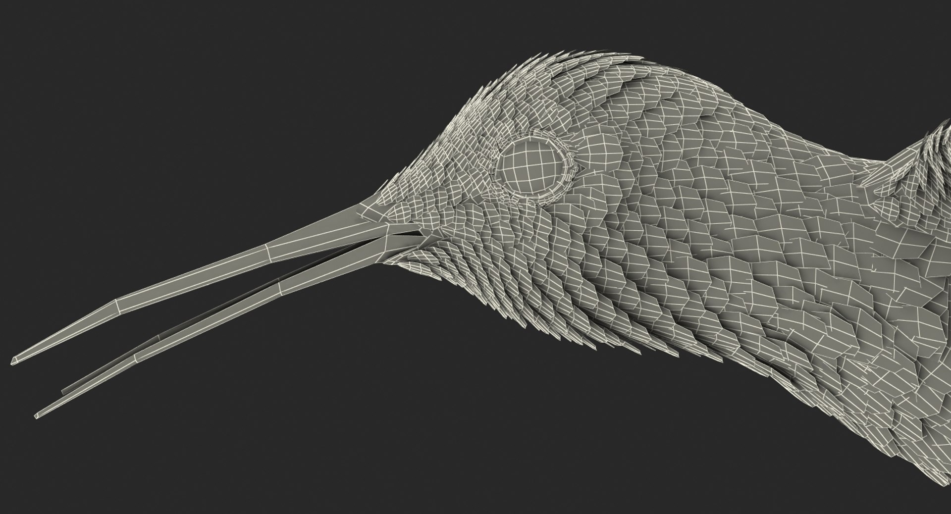 broad tailed hummingbird rigged max https://p.turbosquid.com/ts-thumb/r2/YmzkGa/uhJeQ2sI/broadtailedhummingbirdrigged3dsmodel023/jpg/1490612858/1920x1080/fit_q87/3398c59aa60440bb5e3a42a2a84dbb2897fcba77/broadtailedhummingbirdrigged3dsmodel023.jpg