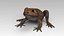 Toad Cane
