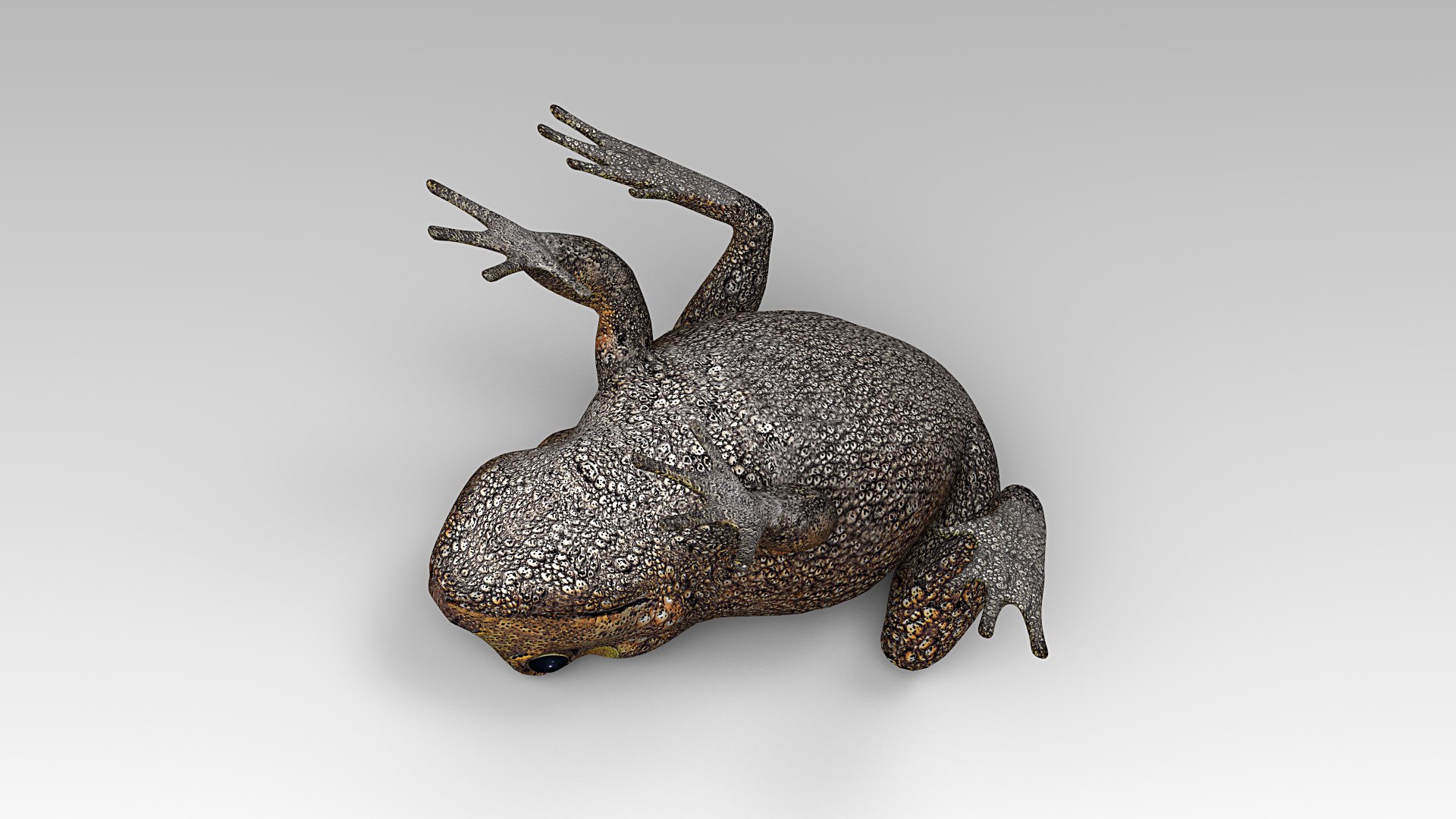 3d model toad cane https://p.turbosquid.com/ts-thumb/r2/id9jvX/Ir87CpRI/toad_cane_05/jpg/1578475568/1920x1080/fit_q87/98a2dff4cb1c2e1dd63b31a0dde79cca26316e97/toad_cane_05.jpg