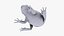Toad Cane