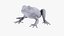 Toad Cane