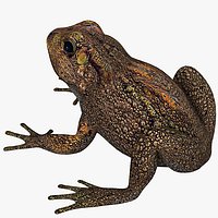 Toad Cane