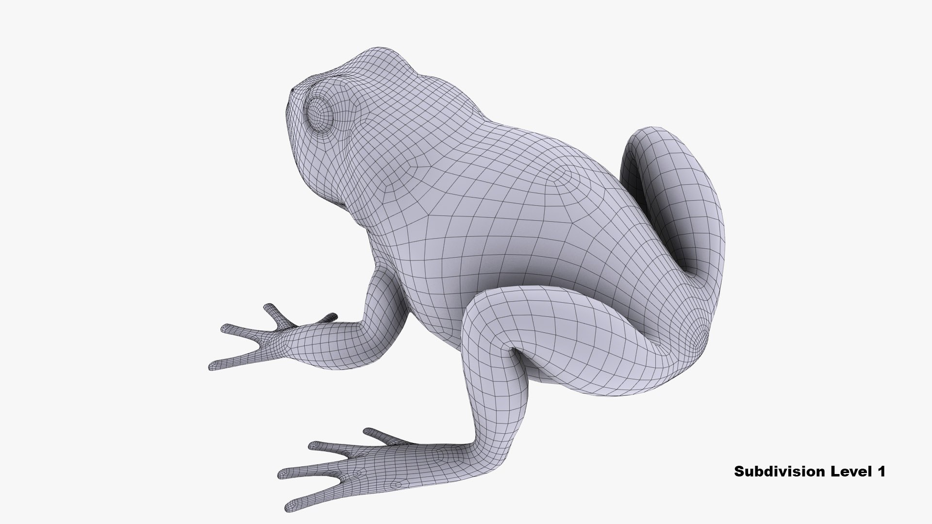 3d model toad cane https://p.turbosquid.com/ts-thumb/r2/id9jvX/vvVw3y4X/toad_cane_camera01_wire_thumbnail_3/jpg/1578475568/1920x1080/fit_q87/2f6495bc39a49cee700f184f15b40e14b400fda4/toad_cane_camera01_wire_thumbnail_3.jpg
