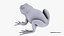 Toad Cane