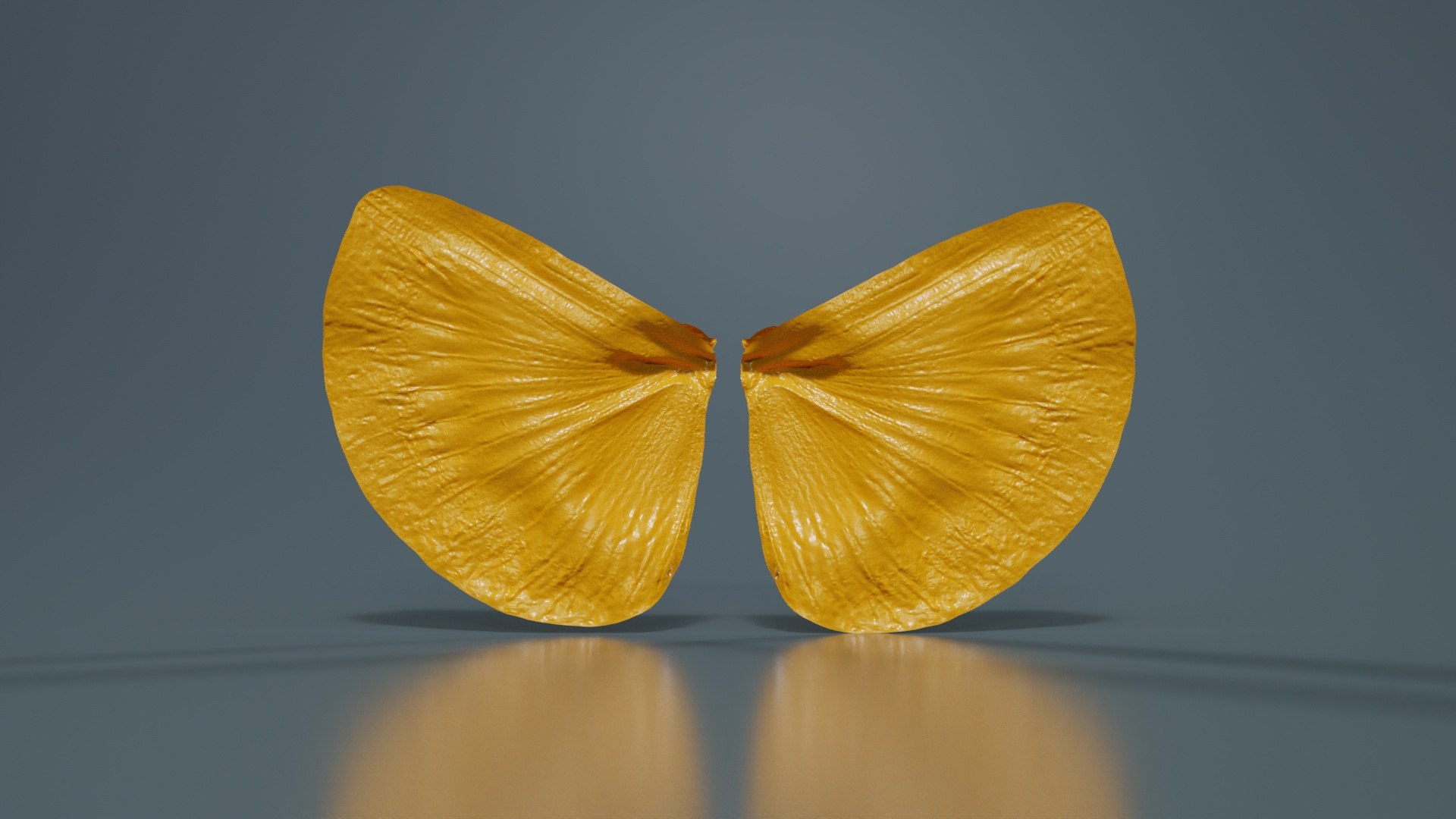 Clouded Sulphur Colias Remastered model https://p.turbosquid.com/ts-thumb/r2/jgs19k/AK/clouded_sulphur_colias_13/jpg/1740127444/1920x1080/fit_q87/dddf77cf5f6bb70aa8179b1e65af8f38f67c9068/clouded_sulphur_colias_13.jpg