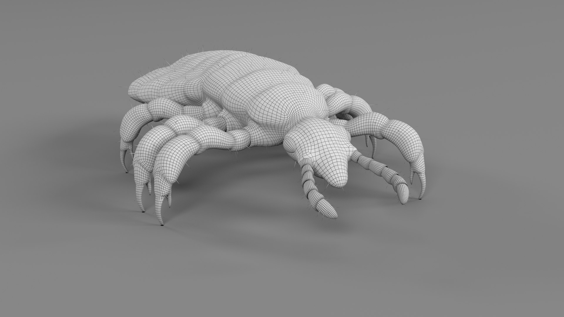 Photorealistic Animated Lice 3D - TurboSquid 2264282