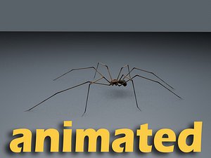 daddy long legs 3d model