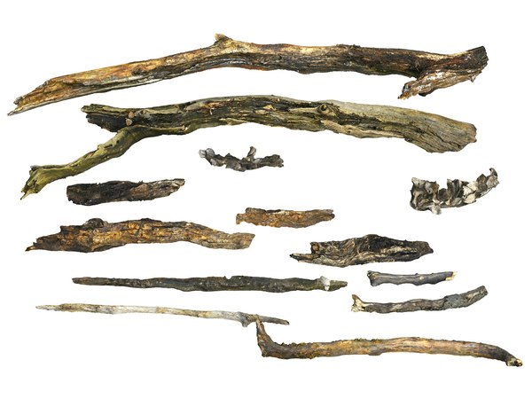 bark branches 21 packed model