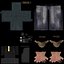 DEA Agent LOD2 Rigged Pack