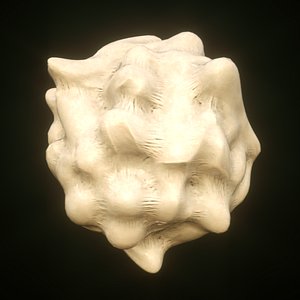white blood cell leukocyte model