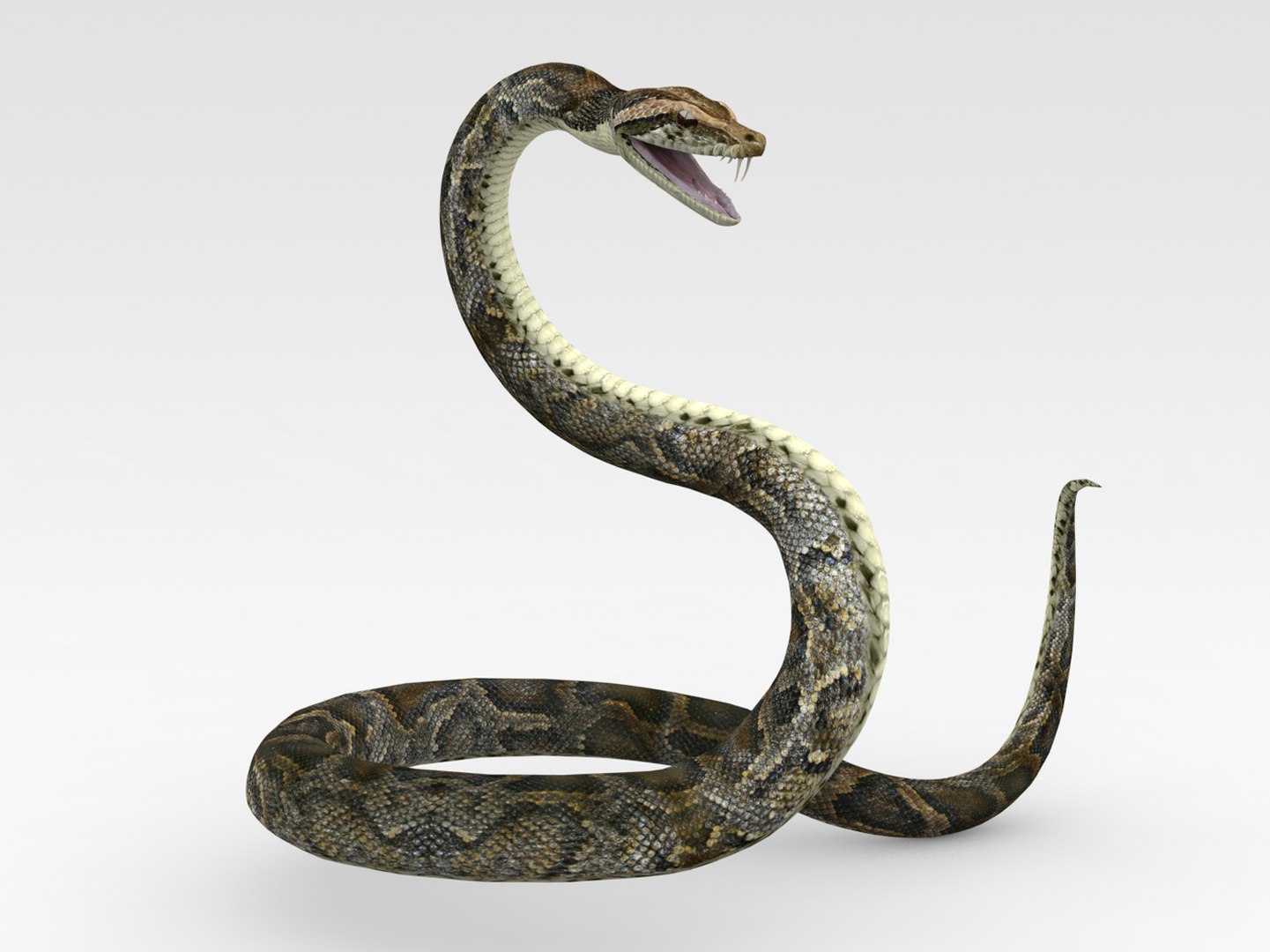 Python3Dモデル - TurboSquid 1774366