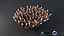 Acropora Coral M 01 3D model