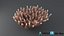 Acropora Coral M 01 3D model