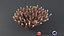 Acropora Coral M 01 3D model