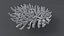 Acropora Coral M 01 3D model