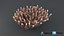 Acropora Coral M 01 3D model