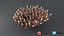 Acropora Coral M 01 3D model