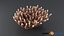 Acropora Coral M 01 3D model