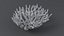 Acropora Coral M 01 3D model