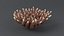 Acropora Coral M 01 3D model
