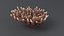 Acropora Coral M 01 3D model