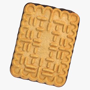 Christmas Chocolate Biscuit 05