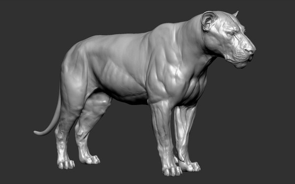 3D lion powerful big cat model - TurboSquid 1469759