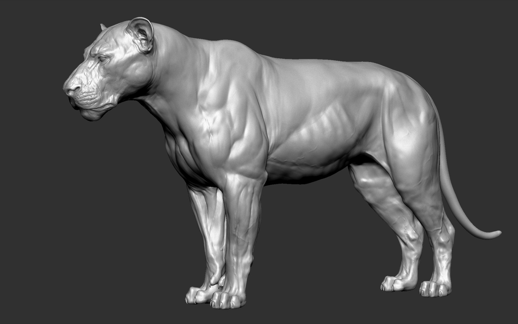 3D lion powerful big cat model - TurboSquid 1469759