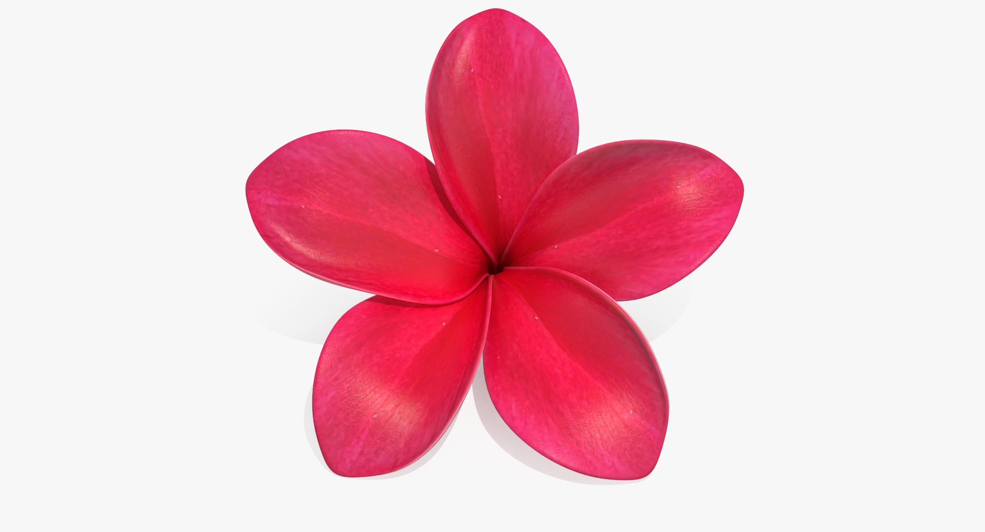 3D Plumeria Red Flower Lei Model - TurboSquid 1216888