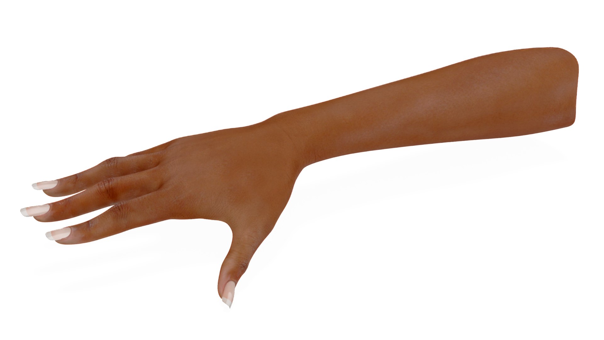 Brown Skinned Female Hand Base Pose 3D model preview
