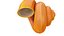 Cartoon  Sea Shell Collection