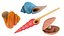Cartoon  Sea Shell Collection
