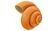 Cartoon  Sea Shell Collection