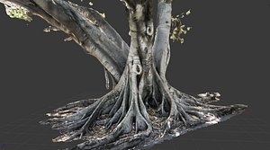 3d model tree trunk 2