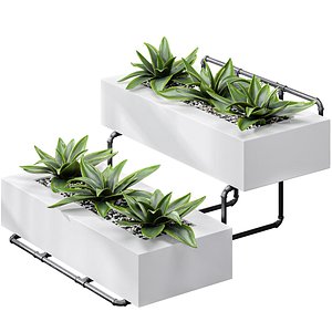 Showcase Office Plants Execuflora