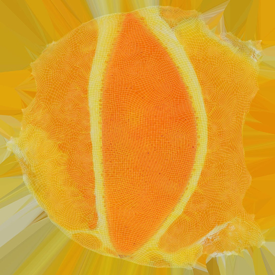 Orange Slice 2 3D model https://p.turbosquid.com/ts-thumb/r3/T61Lit/wk/orangeslice2_d0004/jpg/1717160991/1920x1080/fit_q87/4ab12748b3fd2fef4f94296dd510f92017f4cc00/orangeslice2_d0004.jpg