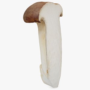 King Trumpet Half 01 3D model