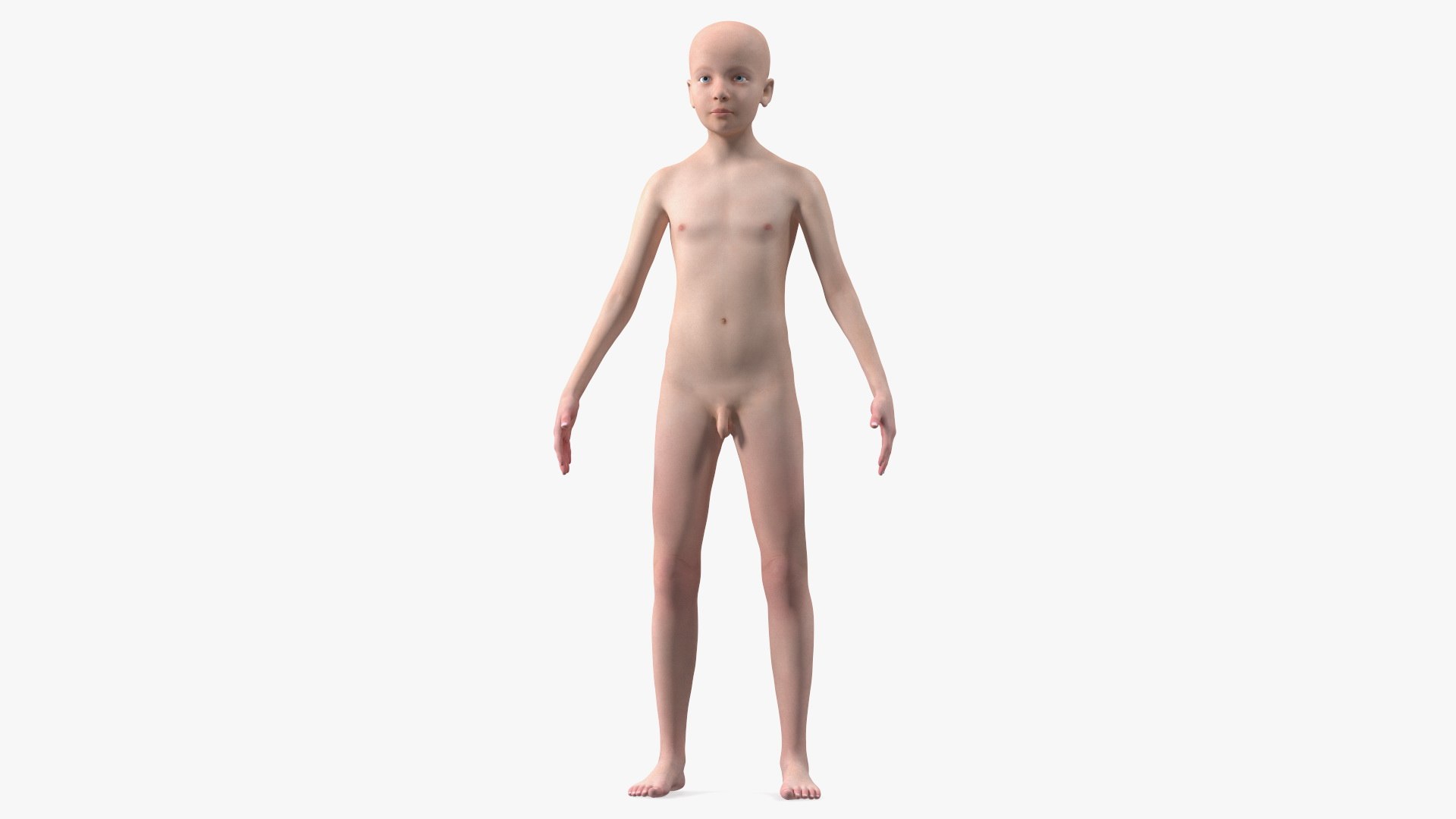 Young Man Full Body Anatomy Set