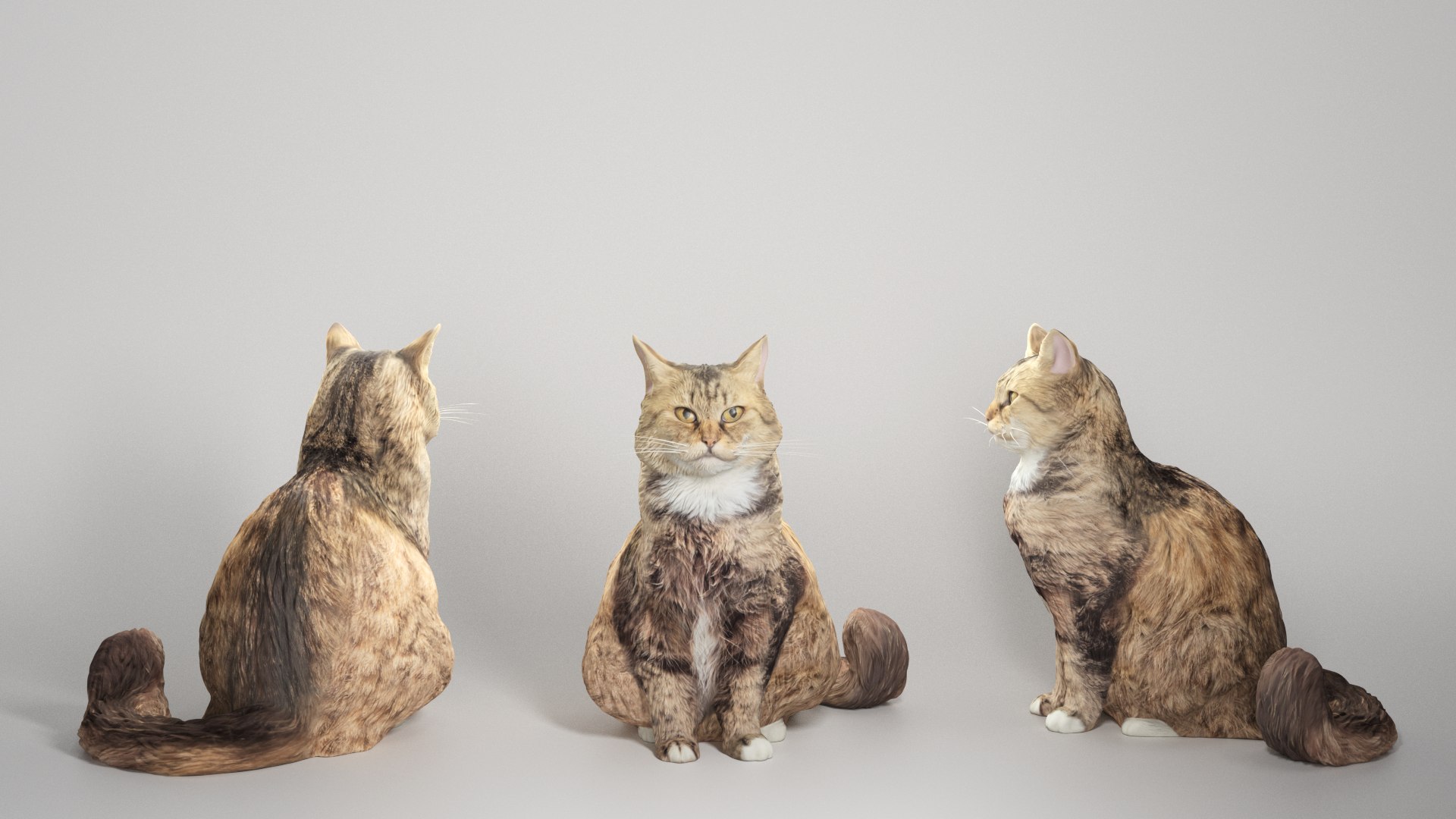 Fluffy cat 15 3D model https://p.turbosquid.com/ts-thumb/r3/flXTWy/1o/04a_04set_02shot_02/png/1624619803/1920x1080/fit_q87/12195f45d6364d5b5fc965e8b38297437a4744bf/04a_04set_02shot_02.jpg
