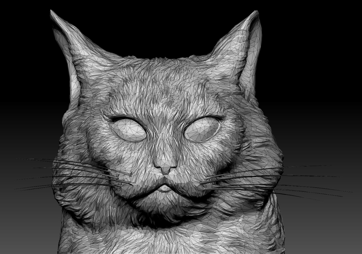 Fluffy cat 15 3D model https://p.turbosquid.com/ts-thumb/r3/flXTWy/XK/04a_04set_02shot_14/jpg/1624619977/1920x1080/fit_q87/ad3005d4d7cb51b32d05d09f5ead75b1bdabe8c9/04a_04set_02shot_14.jpg